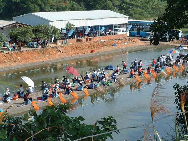 Pool Fishing - The 2nd Asia Fishing Champion Cup